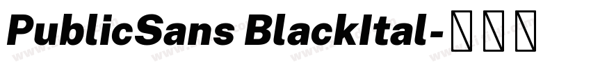 PublicSans BlackItal字体转换